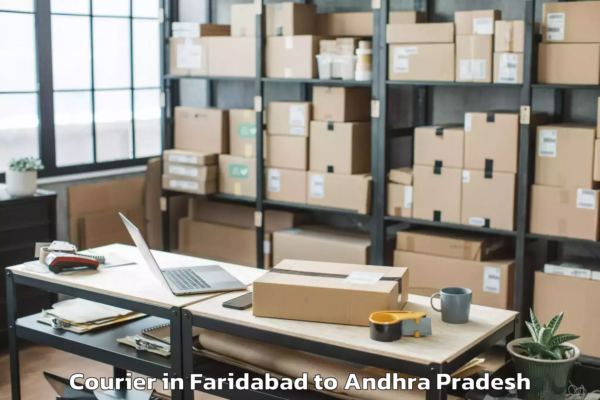 Expert Faridabad to Karamchedu Courier